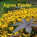 Agnes Pahler: Gartenkalender