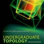 Undergraduate Topology: A Working Textbook