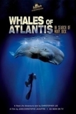 Whales of Atlantis: In Search of Moby Dick (2007)