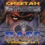 Foundations of Bass, Vol. 1 by DJ Magic Mike