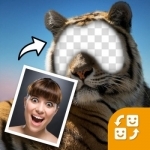 Face Morph - Visage Changer &amp; Editor