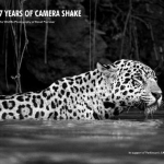 7 Years of Camera Shake