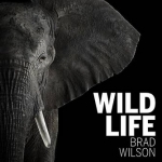 Wild Life