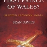 The First Prince of Wales?