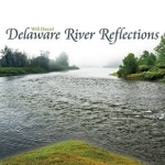 Delaware River Reflections