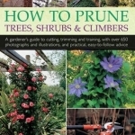How to Prune Trees, Shrubs &amp; Climbers
