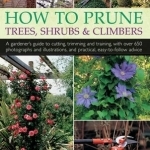 How to Prune Trees, Shrubs & Climbers