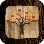 Arborist knots