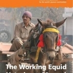 The Working Equid Veterinary Manual