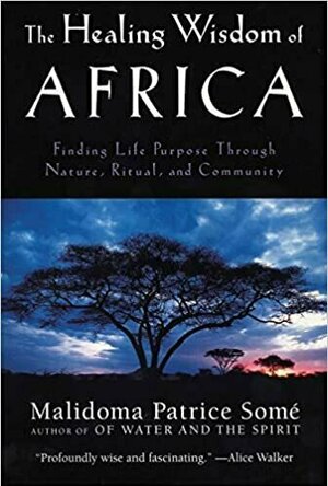 The Healing Wisdom of Africa