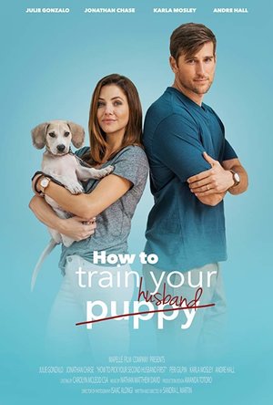 How To Train Your Husband  (2018)