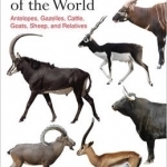 Bovids of the World: Antelopes, Gazelles, Cattle, Goats, Sheep, and Relatives