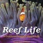 Reef Life: A Guide to Tropical Marine Life