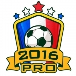 Euro 2016 Manager Pro