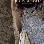 Great Horned Owl: An in-Depth Study