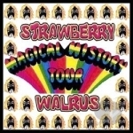 Magical History Tour by Strawberry Walrus