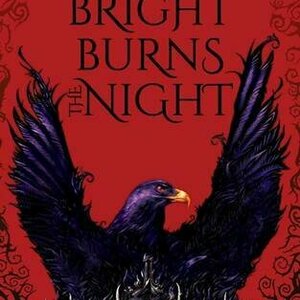 Bright Burns the Night (Dark Breaks the Dawn Duology #2)