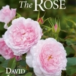 The Rose