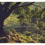 Something You Dream Of... by Denise Young