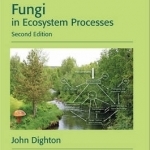 Fungi in Ecosystem Processes