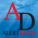 Alert Diver