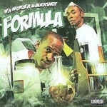 Formula by 9TH Wonder