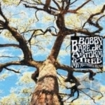 Storm, A Tree, My Mother&#039;s Head by Bobby Bare, Jr