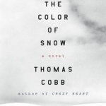 Darkness the Color of Snow: A Novel