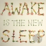 Awake Is the New Sleep by Ben Lee
