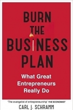 Burn the Business Plan 