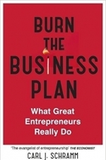 Burn the Business Plan