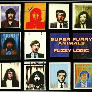Fuzzy Logic by Super Furry Animals