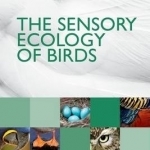 The Sensory Ecology of Birds