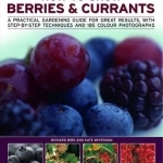 How to Grow Berries and Currants: A Practical Gardening Guide for Great Results, with Step-by-step Techniques and 185 Colour Photographs