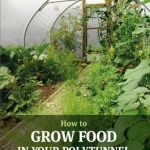 How to Grow Food in Your Polytunnel