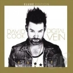 Digital Vein by David Cook