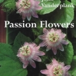 Passion Flowers