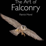 The Art of Falconry