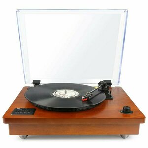 1byone Wooden Turntable