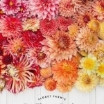 Floret Farm's Cut Flower Garden 2018 Daily Planner