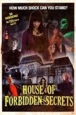 House of Forbidden Secrets (2013)