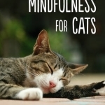Mindfulness for Cats