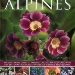 Alpines