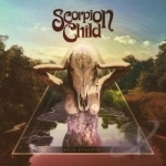 Acid Roulette by Scorpion Child